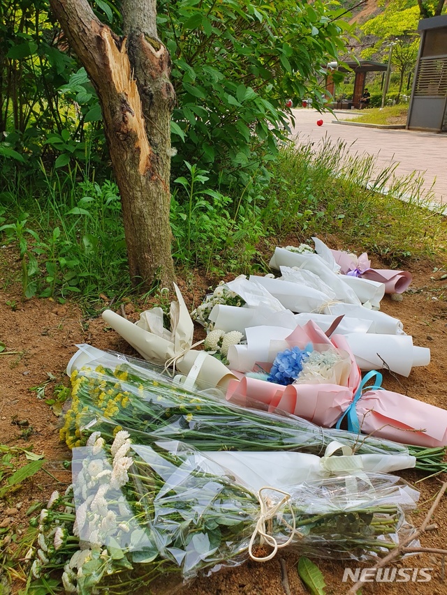 [청주=뉴시스] 조성현 기자 = 지난 12일 여중생 2명이 쓰러진 채 발견된 충북 청주시 청원구 한 아파트 단지 내 나무 밑에 이들의 죽음을 추모하는 꽃다발들이 놓여 있다. 2021.05.14. photo@newsis.com