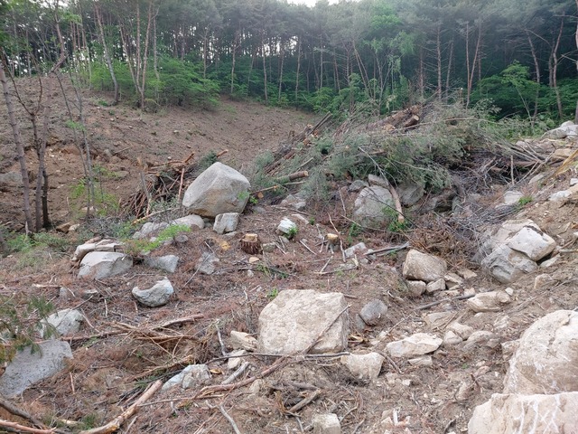 [대구=뉴시스]정창오 기자=대규모 산림훼손이 일어난 경북 청도군 각북면 오산리 산 141-1. 얼마전 까지만 해도 동물들의 생태축 역할을 했던 계곡이 흔적도 없이 메워져 있다. 2021.05.27. jco@newsis.com *재판매 및 DB 금지