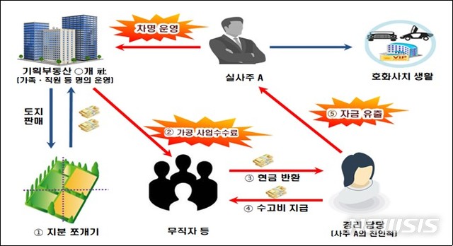 [세종=뉴시스] 국세청에 적발된 기획 부동산 운영자 A씨의 사례. (자료=국세청 제공) 