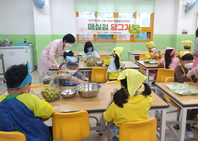 [교육소식] 창원 대방초, 매실청 담그기 체험 진행 등