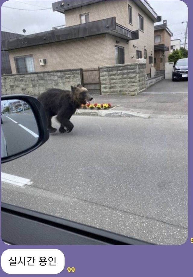 [용인=뉴시스] 온라인상에 떠도는 허위글과 사진. 2021.7.6. (사진=온라인커뮤니티 갈무리) *재판매 및 DB 금지