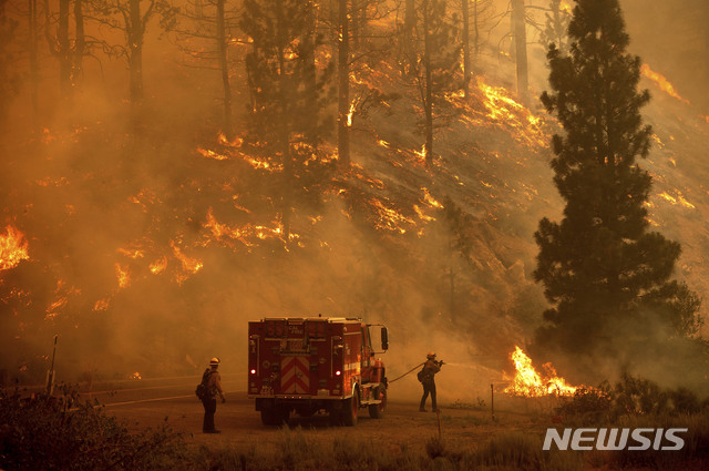 [플루머스=AP/뉴시스] 8일(현지시간) 미 캘리포니아주 플루머스 국유림에서 발생한 '백워스' 화재 현장에서 소방관들이 화재를 진압하고 있다. 캘리포니아 전역에 덥고 건조한 날씨가 이어질 것으로 예보됐으며 소방관들은 이로 인해 여러 곳에서 발생한 산불과 싸우고 있다. 2021.07.09.