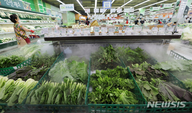 [서울=뉴시스] 고범준 기자 = 폭염이 이어지는 가운데 일부 채소 가격이 급등하고 있다. 한국농수산식품유통공사(aT)의 농산물 유통정보에 따르면 최근 상추, 시금치, 깻잎 등 엽채류(잎채소류) 가격이 크게 올랐다고 밝혔다. 28일 서울 서초구 농협하나로마트 양재점에서 쌈 채소류가 판매되고 있다. 2021.07.28. bjko@newsis.com