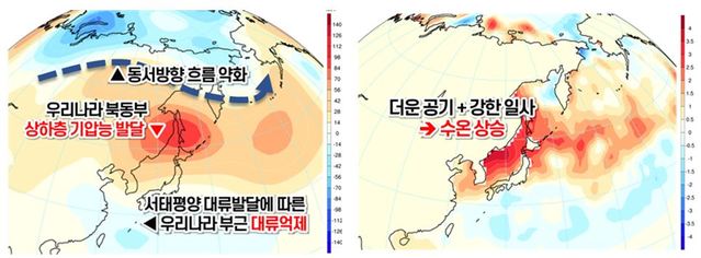 [서울=뉴시스] 신재현 기자 = 기상청 제공. 2021.08.25. photo@newsis.com *재판매 및 DB 금지