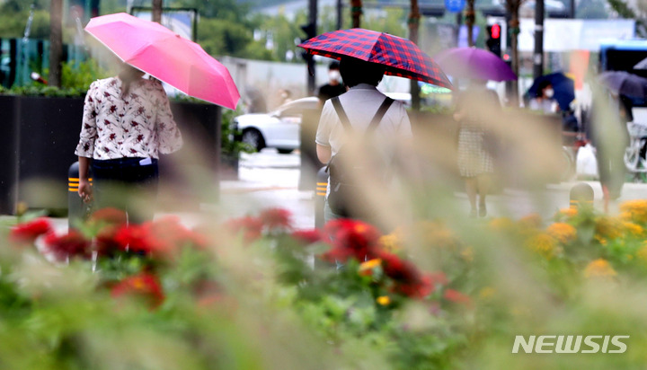 [서울=뉴시스] 추상철 기자 = 가을비가 내린 6일 오후 서울 중구 청계광장에서 우산을 쓴 시민들이 화단에 핀 수크령과 백일홍 사이를 지나고 있다. 2021.09.06. scchoo@newsis.com