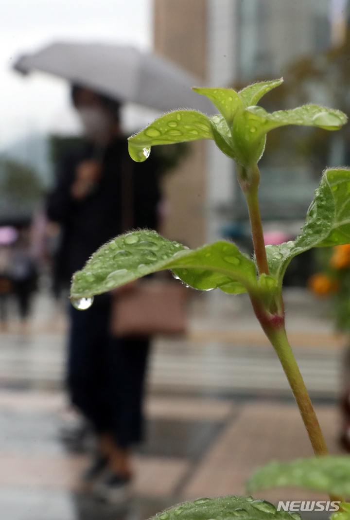 '백로' 충북 구름 많고 곳곳 소나기…낮 최고 30~32도