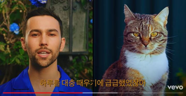맥스 '블루베리 아이즈' 뮤직비디오 캡처. 고양이는 슈가를 대신에 출연했다. *재판매 및 DB 금지