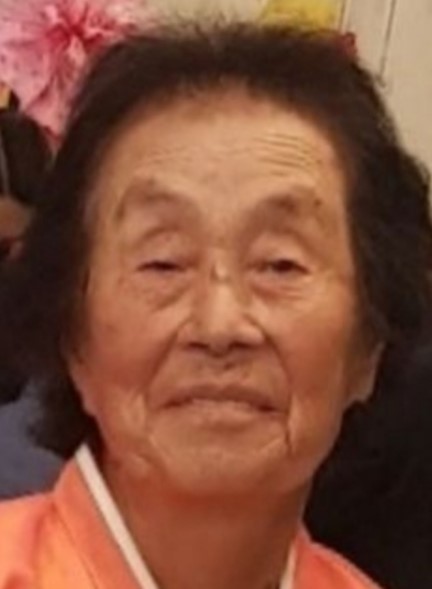 천안서 80대 여성 실종 4일째…경찰 안전안내문자