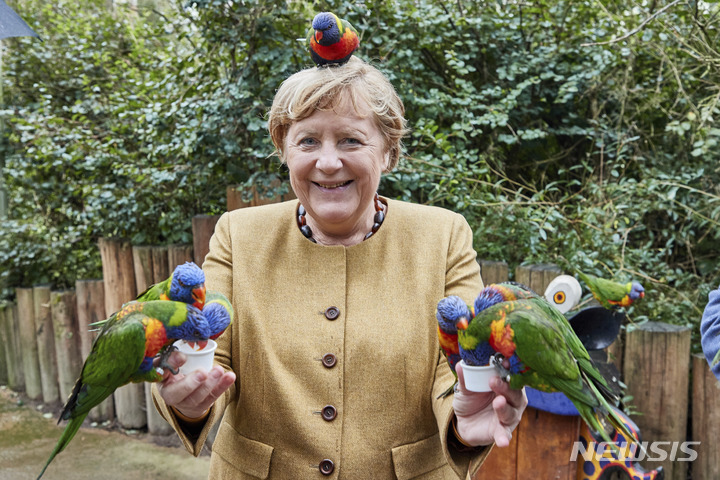 [마를로브(독일)=AP/뉴시스] 앙겔라 메르켈 독일 총리가 지난 23일(현지시간) 독일 마를로브의 마를로브 새 공원을 방문해 호주산 잉꼬들에게 먹이를 주고 있다. 2021.0.27.