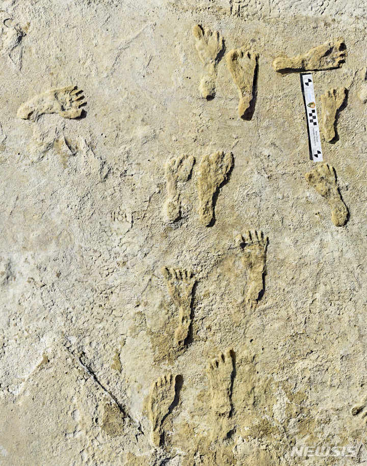 [AP/뉴시스]지난 2009년 미 뉴멕시코주 화이트샌즈 국립공원의 마른 호수 바닥에서 발견된 초기 인류의 발자국 화석. 이 화석들은 약 2만3000년 전 초기 인류가 북아메리카를 횡단하고 있었음을 보여준다고 연구진이 23일(현지시간) 발표했다. 2021.9.24