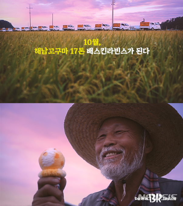 [프랜차이즈 단신]배스킨라빈스, '치즈 고구마구마' 온라인 광고 공개 外