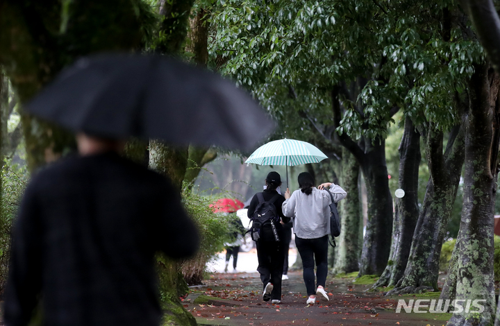 [제주=뉴시스] 우장호 기자 = 가을비가 촉촉히 내린 지난달 12일 오후 제주대학교 교정에서 우산을 쓴 학생들이 걸어가고 있다. 2021.10.12. woo1223@newsis.com