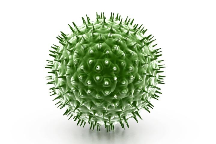 인플루엔자 바이러스 *재판매 및 DB 금지