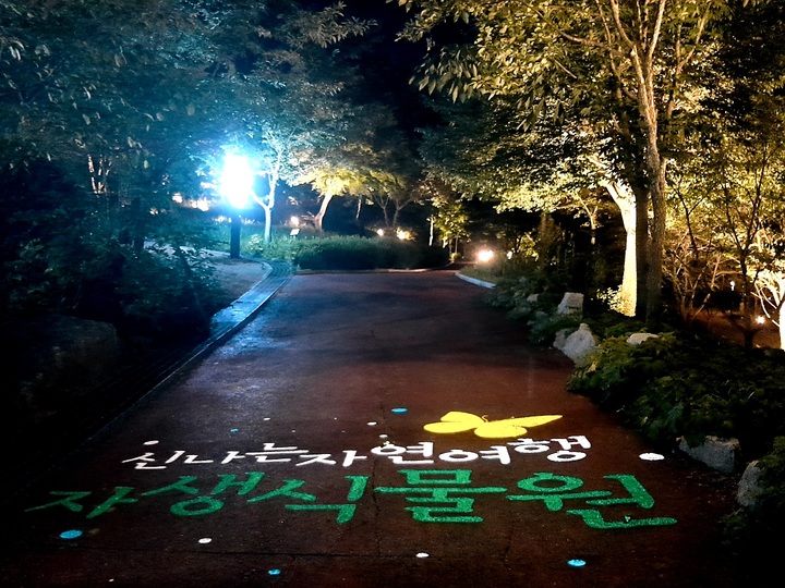 [대전=뉴시스] 국립유명산자연휴양림 내 자생식물원 야간 모습. *재판매 및 DB 금지