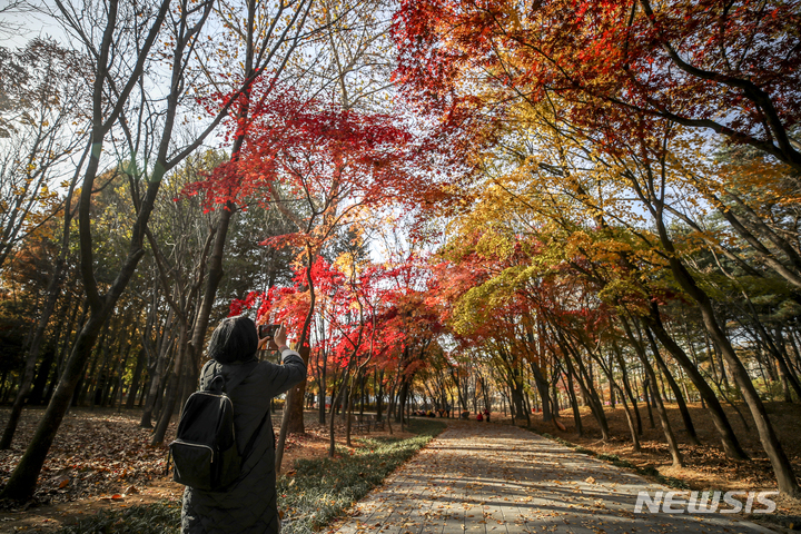 [서울=뉴시스] 정병혁 기자 = 완연한 가을날씨를 보인 지난 16일 오후 서울 서초구 양재시민의 숲을 찾은 시민들이 가을 날씨를 만끽하고 있다. 2021.11.16. jhope@newsis.com