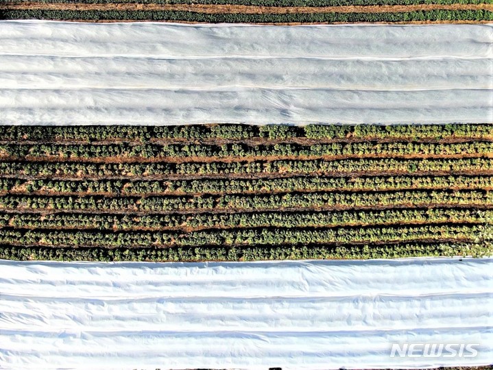 겨울철엔 베란다가 냉장고?…'이 제품' 보관법 따로있다