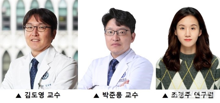 [서울=뉴시스]연세대학교 세브란스병원 소화기내과 김도영·박준용 교수와 의과대학 의과학과 조경주 연구원(박사과정)은 진행성 간암에서 신호전달 단백질 'YAP·TAZ'의 발현을 조절해 항암약물 전달 효과를 획기적으로 높일 수 있다는 것을 확인했다고 22일 밝혔다. 왼쪽부터 김도영·박준용 교수, 조경주 연구원. (사진= 연세대세브란스병원 제공) 2021.11.22