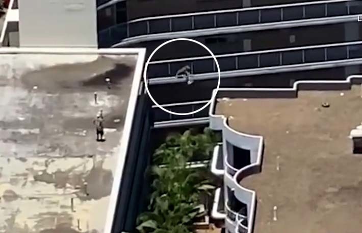12m 옥상서 건물 점프…호주 파쿠르남 화제(영상)