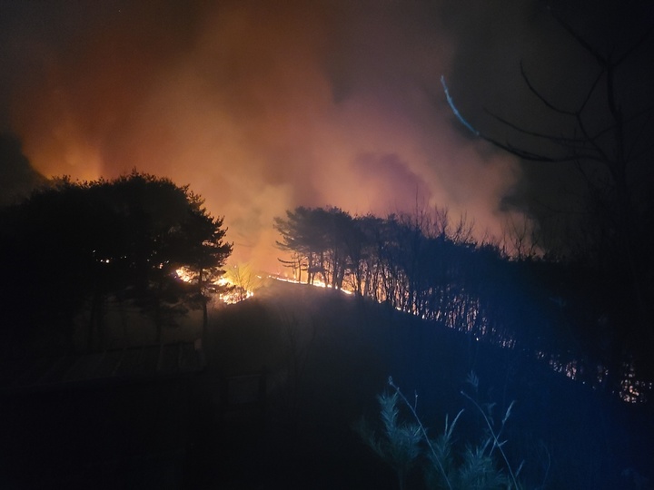 [안동=뉴시스] 경북 영덕군 구미리에서 16일 새벽 타고 있는 산불. (사진=산림청 제공) 2022.02.16 *재판매 및 DB 금지