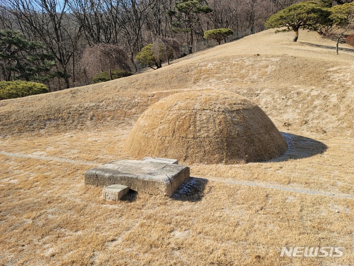 [용인=뉴시스]이사영 묘