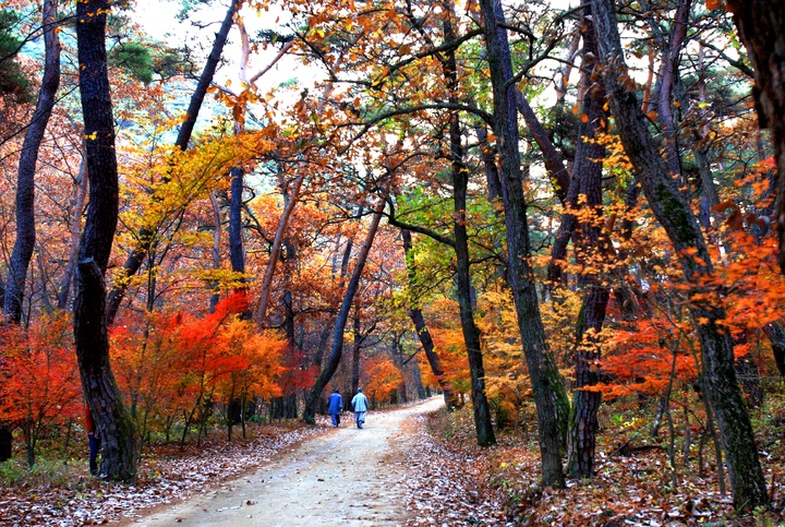 고운사 입구 (사진=입선작·의성군 제공) *재판매 및 DB 금지