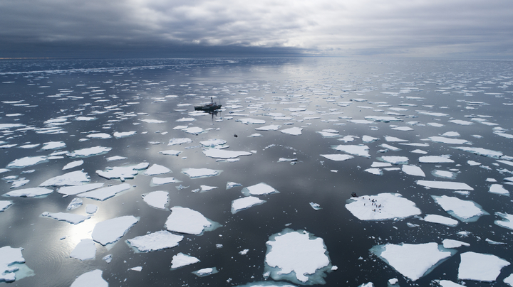 [서울=뉴시스] 남극 바다에 떠있는 빙하 조각들. (사진=그린피스 제공). 2022.03.16. photo@newsis.com *재판매 및 DB 금지