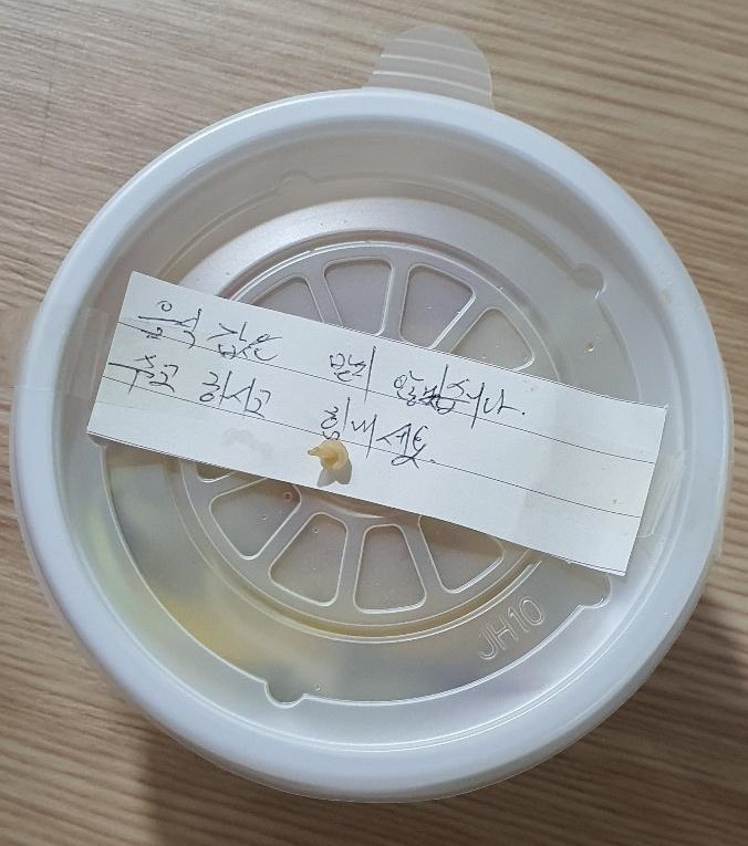 "할머니 장례상에 올릴건데 꼭 부탁드려요..." 새벽 3시에 초밥집에서 장어만 주문한 손님, 어이가 없던 초밥집 사장이 한 '이 말'에 모두가 오열하고 말았습니다.