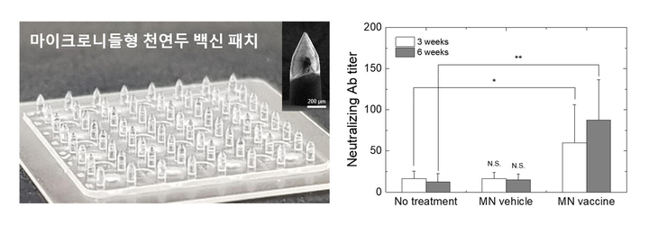 [부산=뉴시스] 마이크로니들형 두창(천연두) 백신 패치 및 중화항체 형성 실험 결과. (사진=부산대 제공) *재판매 및 DB 금지