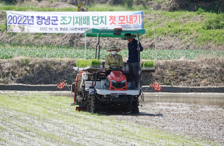 이방면 모곡리 이주호씨 논에서 올해 첫 모내기를 하고 있다. *재판매 및 DB 금지