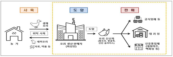 [세종=뉴시스] 오리 신선육 유통 구조. (그래픽=공정거래위원회 제공) *재판매 및 DB 금지