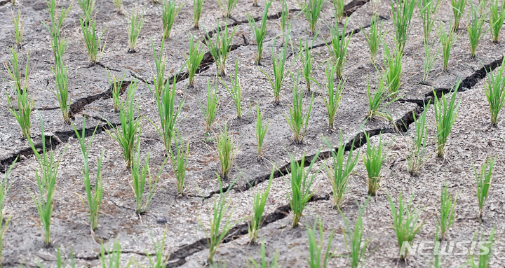 충남권 한달간 비 422㎜ 내려 가뭄 해소…10월까지 이어질 듯