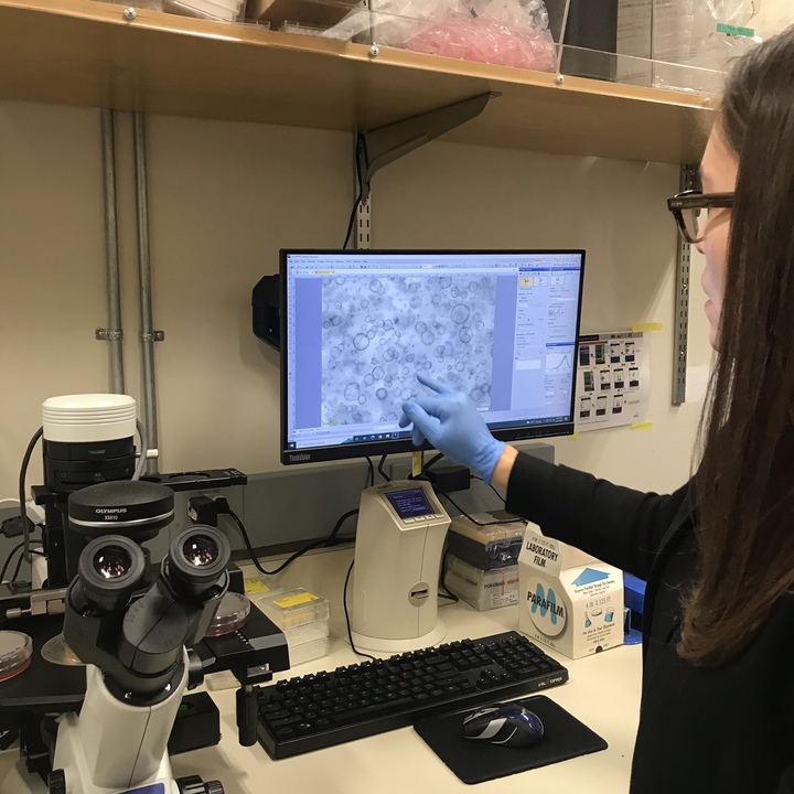 [사진=샌디에이고] 대니얼 엥글(Dannielle Engle)교수가 현미경을 통해 암세포 연구를 하는 모습을 보여주고 있다. [사진=뉴시스] *재판매 및 DB 금지