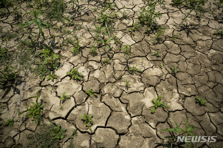 [인제=뉴시스] 정병혁 기자 = 전국적으로 극심한 가뭄이 이어진 지난해 6월20일 오후 강원 인제군 소양호 바닥이 갈라져 있다. 2022.06.20. jhope@newsis.com