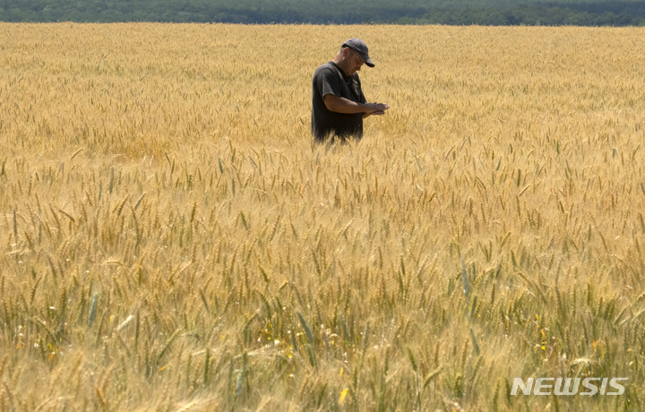 [도네츠크=AP/뉴시스]우크라이나 도네츠크의 밀밭. 2022.6.21.