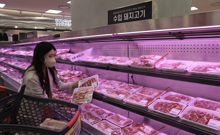 서울 잠실 롯데마트 제타플렉스점에서 고객이 캐나다산 돼지고기를 고르는 모습(사진=롯데마트 제공) *재판매 및 DB 금지