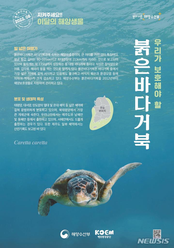 [서울=뉴시스] 8월 해양생물 포스터.