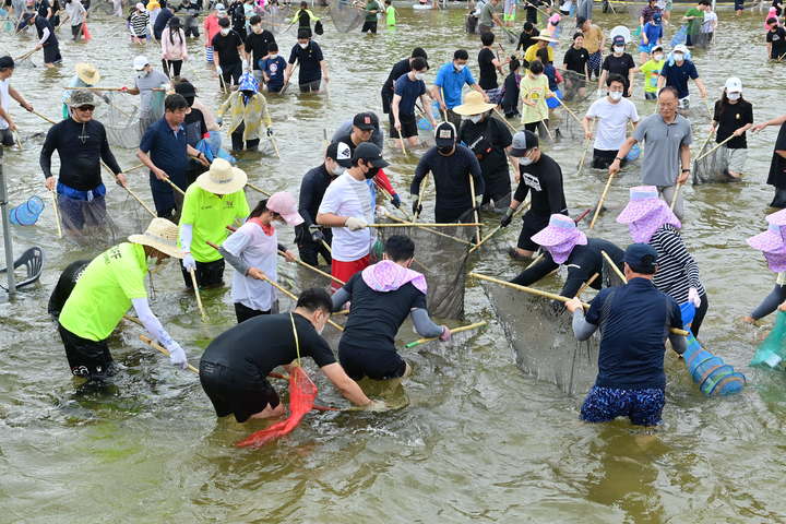 봉화은어축제 참가자들이 '은어 반두잡이'를 하고 있다. (사진=봉화군 제공)@newsis.com *재판매 및 DB 금지