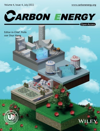 Carbon Energy 저널 2022년 7월 표지논문. 사진 성균관대학교 *재판매 및 DB 금지