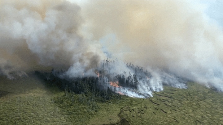 [서울=뉴시스]캐나다 동부 뉴펀들랜드·래브라도주에서 5반세기만에 최악의 산불이 발생한 모습. 주 당국이 비상사태를 선포했다. <사진 출처: 미 CBS 동영상 화면 캡쳐> 2022.08.09. *출고 및 재판매 금지
