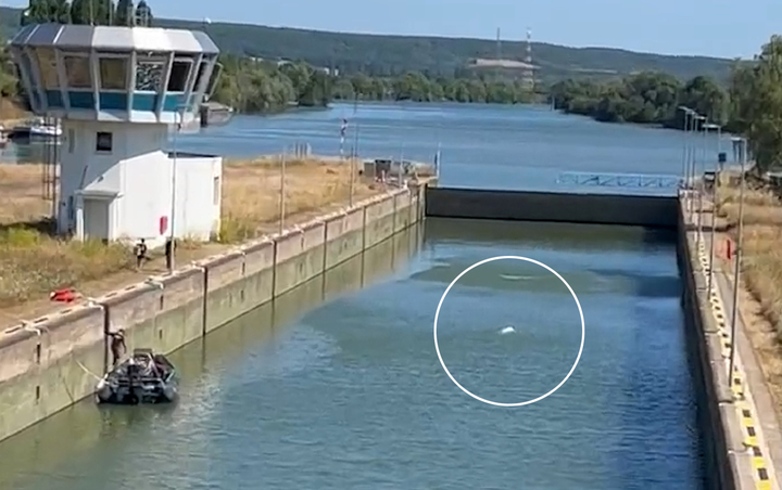 지난 2일(현지시각) 프랑스 센강 중류에서 발견된 벨루가 고래를 갑문과 갑문 사이에 임시로 가둬놓은 모습. 출처: 트위터 이용자 @RemyBuisine *재판매 및 DB 금지