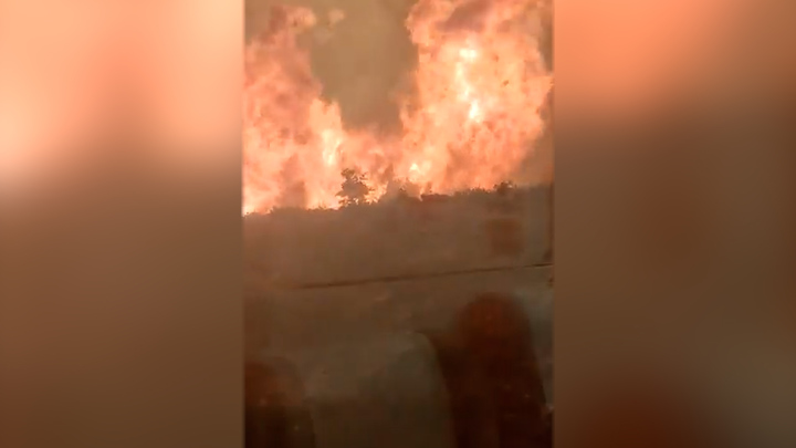 스페인 북동부 발렌시아에서 열차가 산불에 휩싸여 승객들이 탈출하는 과정에서 10명이 다쳤고 3명은 중상을 입었다. 출처: 트위터 *재판매 및 DB 금지