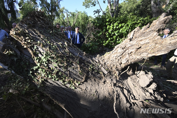 {AP/뉴시스] 16일 프랑스의 제랄드 다르마넹 내무장관이 코르시카 섬을 방문해 폭풍우로 넘어진 나무를 보고 있다. 이 섬에서 5명이 사망했다.