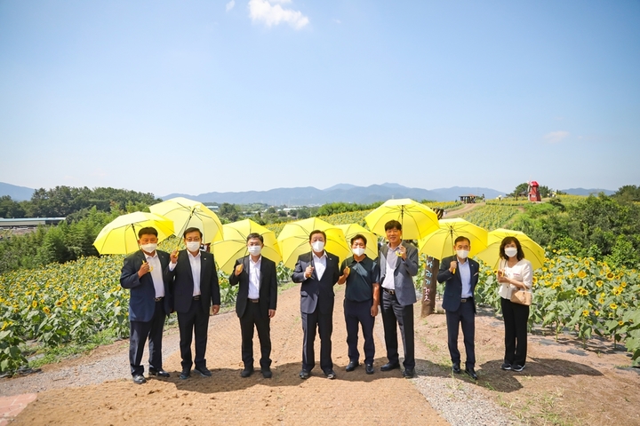 제10회 강주해바라기 축제 개막 *재판매 및 DB 금지