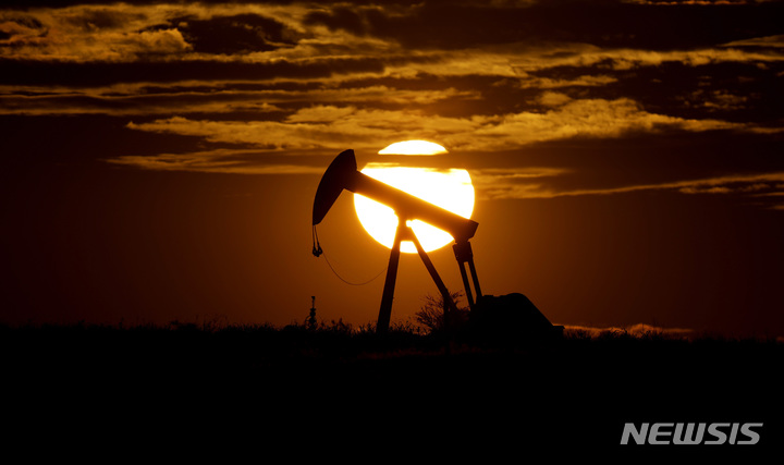 OPEC+, 원유 생산량 유지 결정…"하루 200만 배럴 감산 유지"