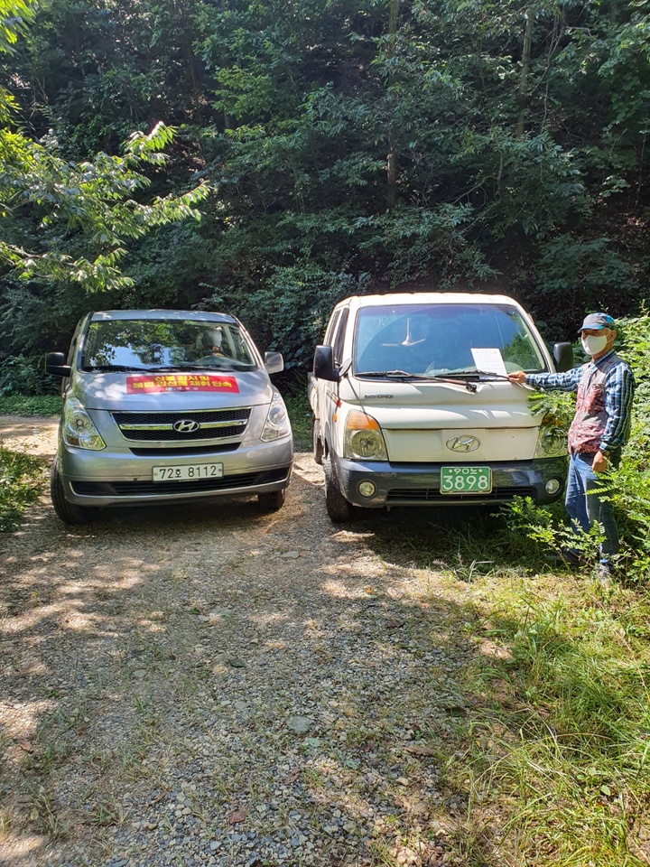 영동군, 가을철 임산물 불법채취 10월말까지 집중 단속