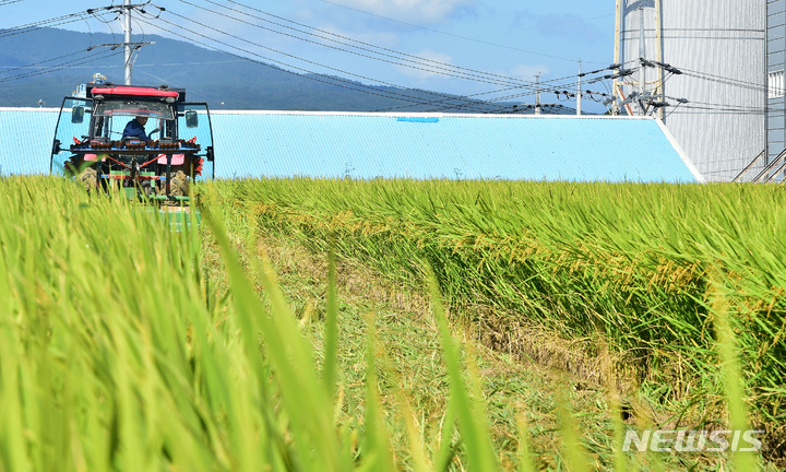 국산쌀 해외원조 최대 957억 손해…"수입쌀로 바꿔야"