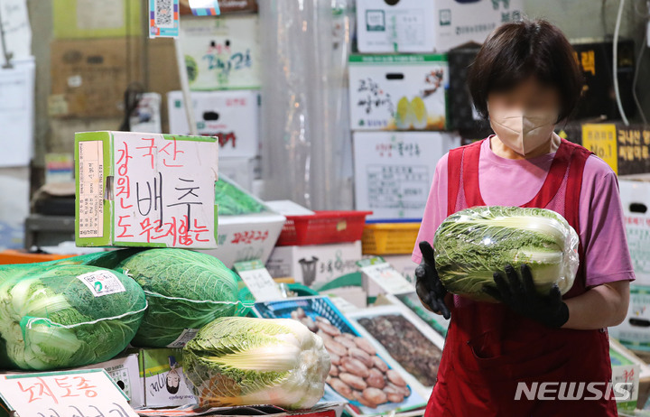 [서울=뉴시스] 권창회 기자 = 배추값이 고공행진 하고 있다. aT 농산물유통정보(KAMIS) 자료를 보면 21일 기준 배추 한 포기 소매가는 9738원으로 1년 전(5683원)보다 71% 올랐다. 사진은 21일 오후 서울 마포구 농수산물 시장에서 상인이 배추를 한포기씩 포장하고 있는 모습. 2022.09.21. kch0523@newsis.com