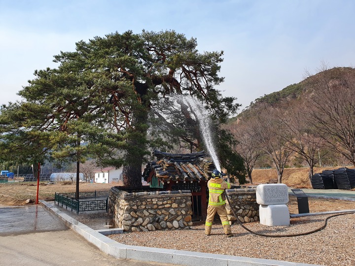 [서울=뉴시스] 올해 3월에 있었던 울진 산불 당시 울진 행곡리 처진 소나무 보호를 위해 소방관들이 물을 쏘는 모습 (사진=문화재청 제공) 2022.10.05. photo@newsis.com *재판매 및 DB 금지