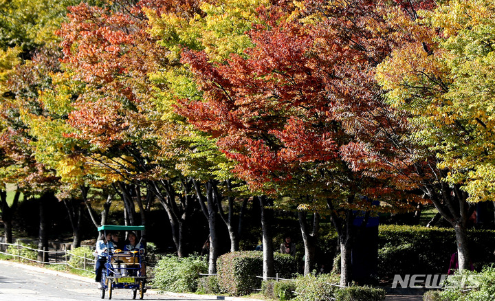 [서울=뉴시스] 추상철 기자 = 완연한 가을날씨를 보인 지난 13일 오후 서울 송파구 올림픽공원에서 관광 자전거를 탄 가족들이 가을정취를 만끽하고 있다. 2022.10.13. scchoo@newsis.com
