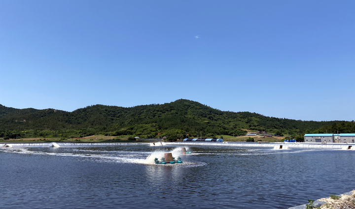 [신안=뉴시스] 새우 양식장. *재판매 및 DB 금지